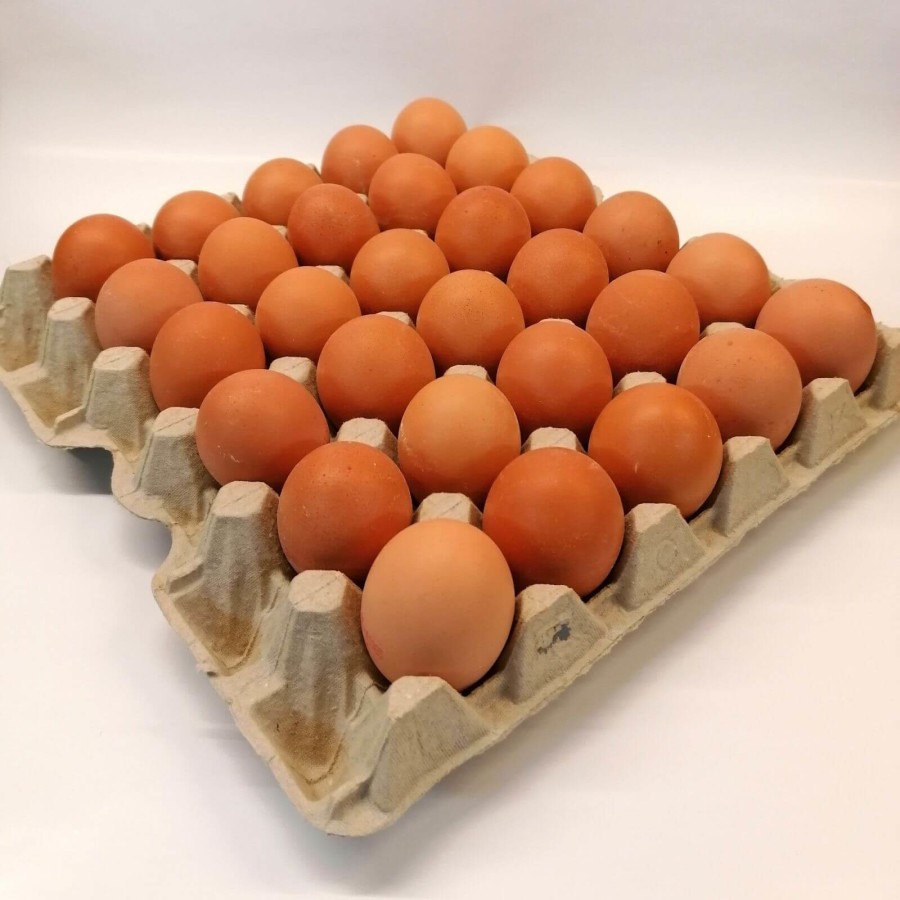[7400] Œufs Conditionnés Par 30Pcs, Classe A, Large