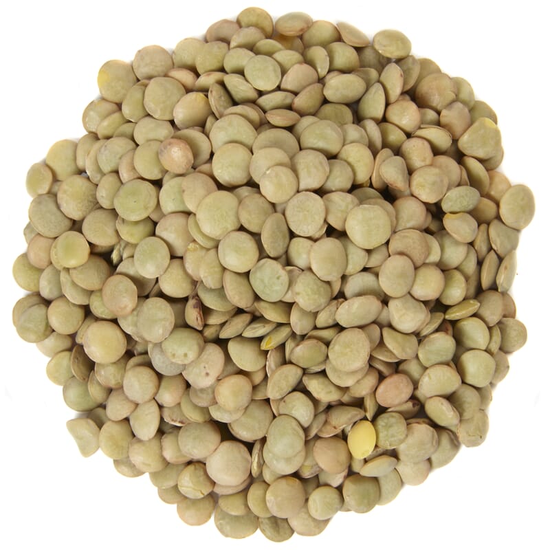 [1635] Lentilles Vertes 1Kg