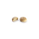 La Lorraine Pan Bagnat Bruin 45X110G