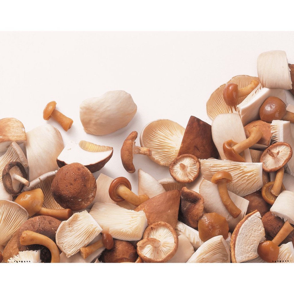 [CMW010] Ardo Woudpaddestoelen Mix 600G