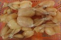 Kikkerbillen 16/20 1Kg