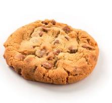 [5000574] Panesco Choc Chip Cookie 90 St