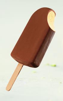 [05030] Van Gils Choco Stick Vanille 24X90Ml