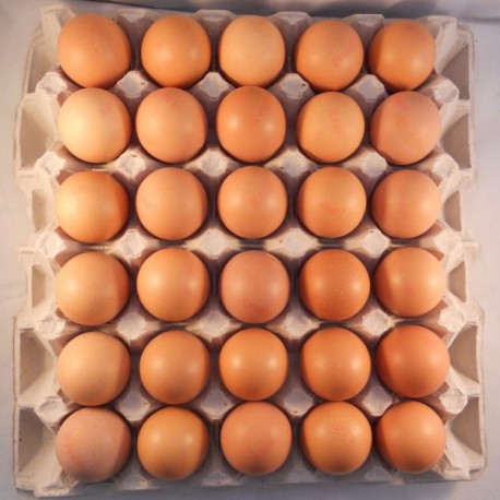 [7400M] Œufs Emballés Par 90Pcs Medium