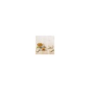 Dipper Apéritif Triangle 800G 300Pcs Dvfoods