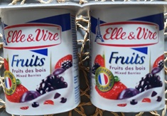 [910000114] Elle&Vire Dessert Lacté Fruits Des Bois 125G