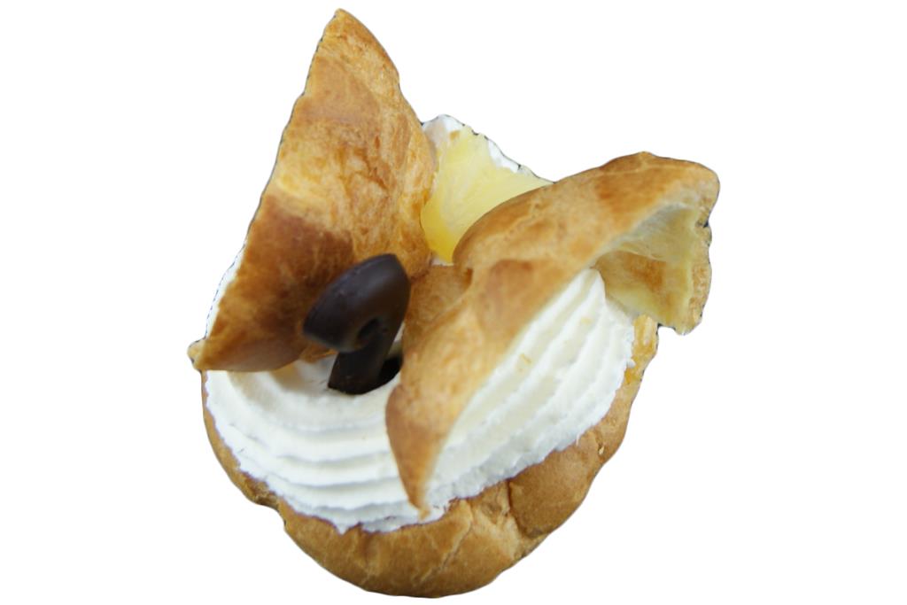 Pruvé Cygne Fourré 20X65G