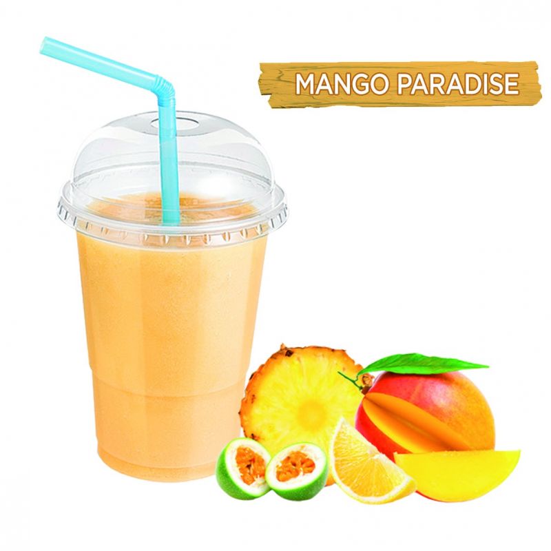 [497004] Sm6 Smoothie Mango Paradise 15X150G