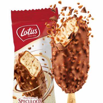 Stick Lotus 20X90Ml