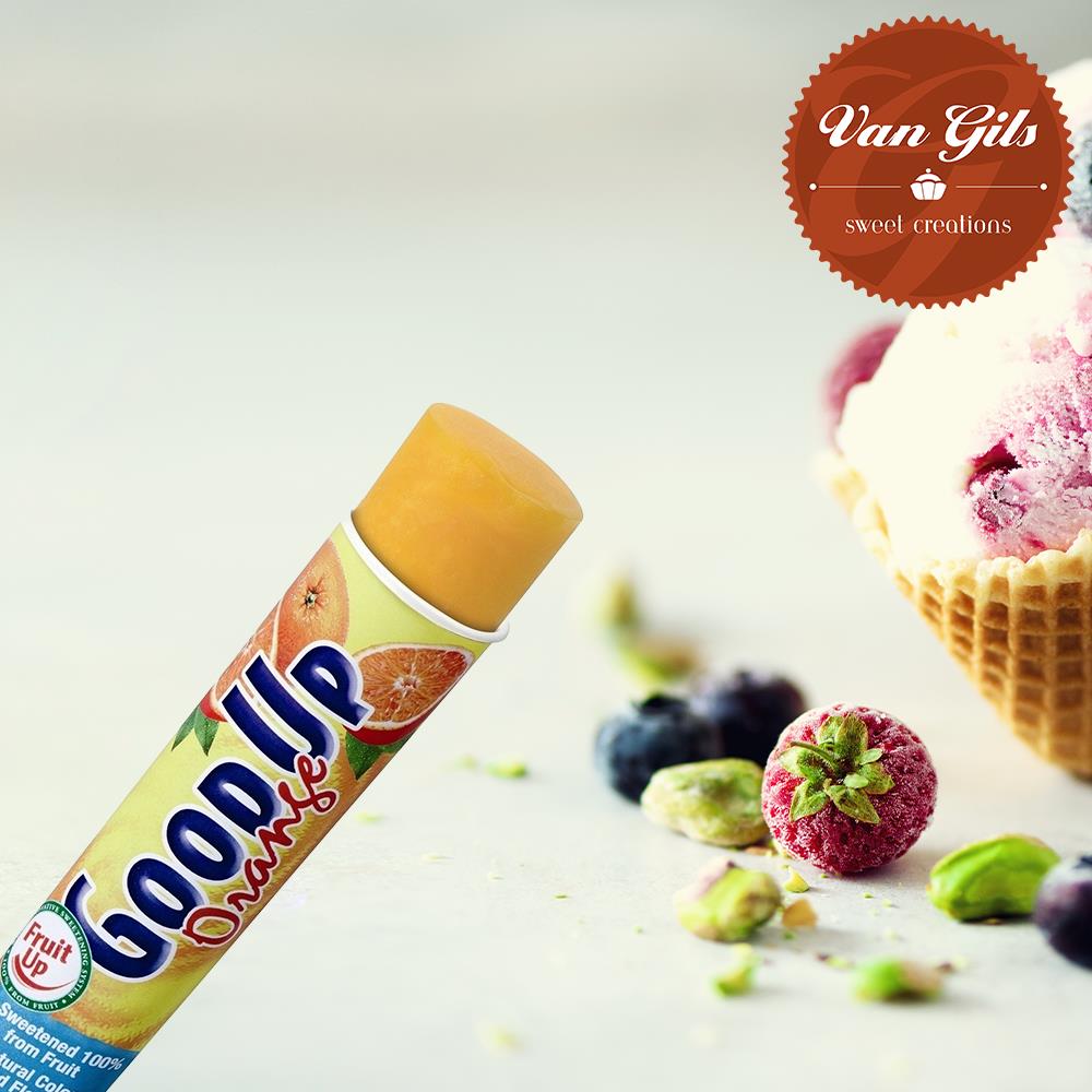 [05263] Van Gils Good Up Sinaas 24X110Ml