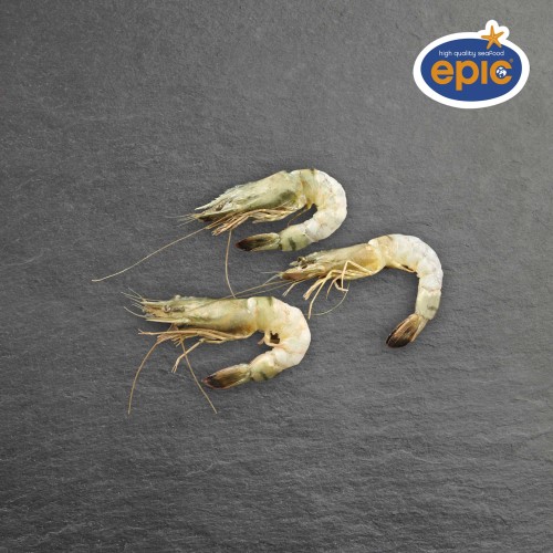 Gamba 08/12 Body Peeled 750G