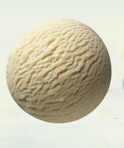 Van Gils Vanille 5L