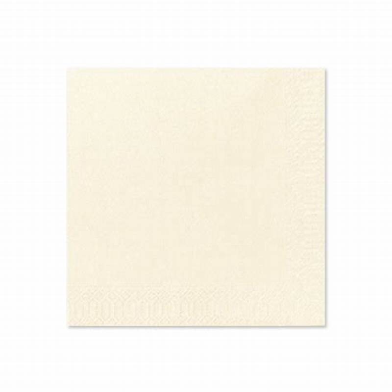 [220150.28] Serviet 40X40 2 Laags Crème100St