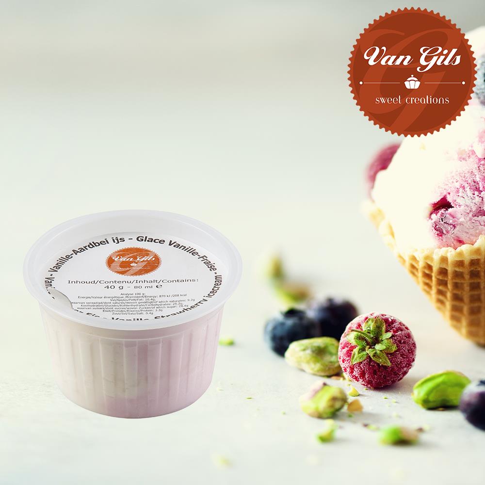 [14504] Van Gils Mini Ijsbeker Va/Aardbei 36X80Ml