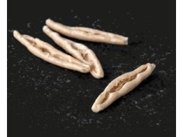 Altoni - Fagiolini Volkoren Bio - 1 Kg