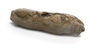 [K0267] Diversi Pain Du Berger Malt/Malt 20X450G