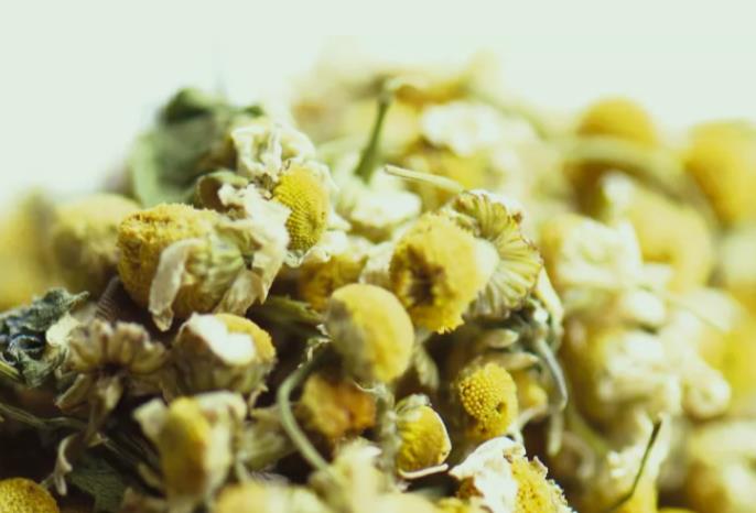 [.13054] Viva Sara Thee 100G Kamille Infusie