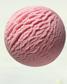 Van Gils Aardbeien 5L