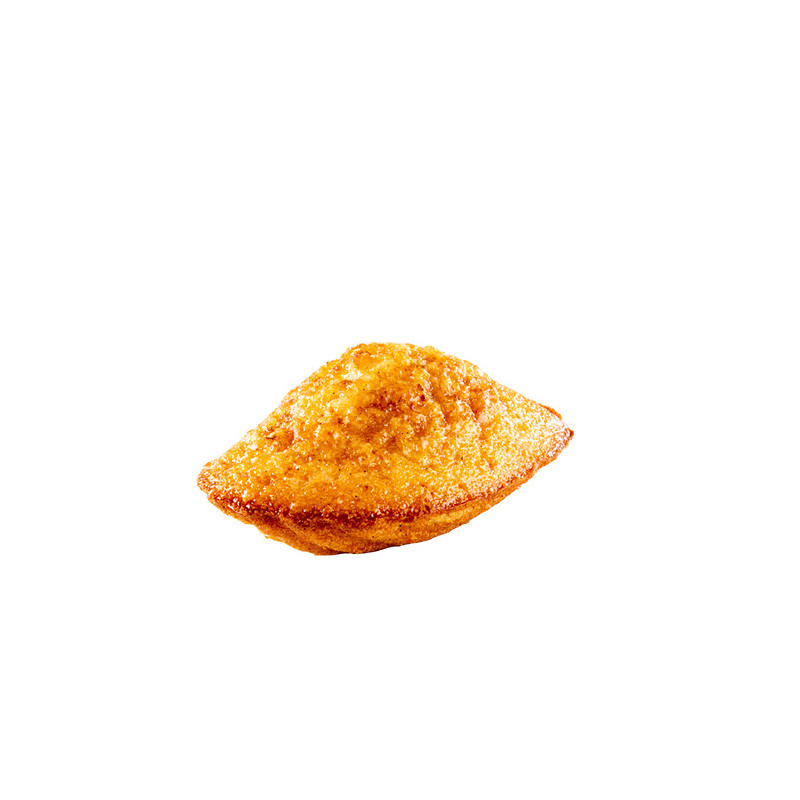[5002146] Panesco Madeleine Crème Brulée 140X18G