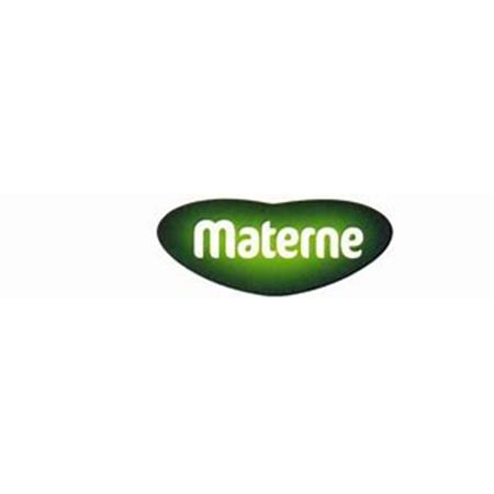 [200118] Materne Appelmoes Suikervrij 3L