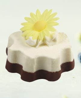Van Gils Stevia Mini Ijstaartje Bloem 12X110Ml