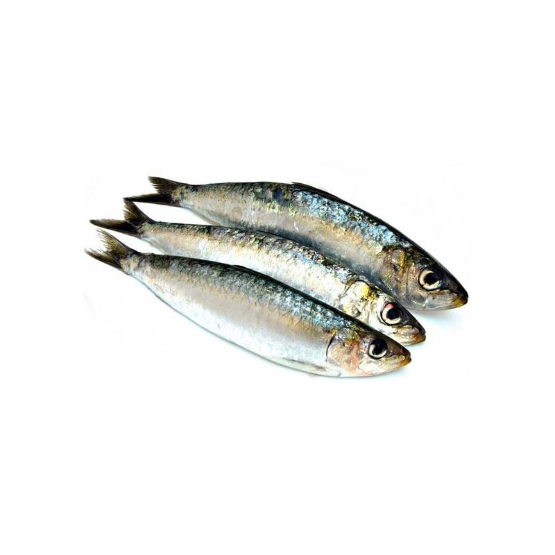 [322200] Sardines 8/12 Frc 1Kg