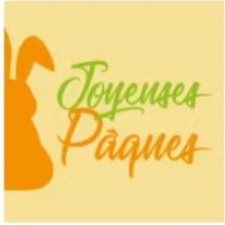 [883035] Chocolade Vierkant Joyeuses Paques 120St Dvfoods