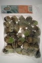 Escargots Avec Beurre À L'Ail 48Pcs Très Grand
